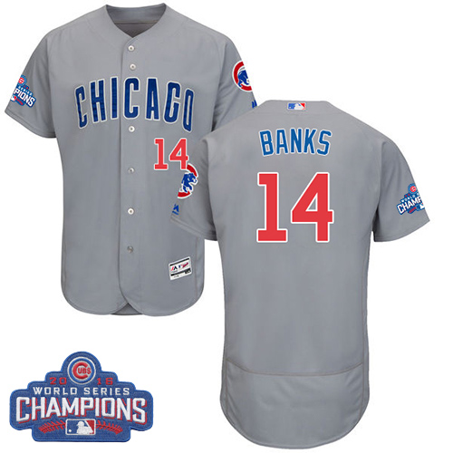 Men's Majestic Chicago Cubs #14 Ernie Banks Grey 2016 World Series Champions Flexbase Authentic Collection MLB Jersey